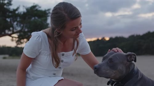Woman pets her dog at sunset in nature