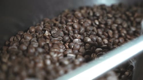 Coffee beans roasting process at a cafe