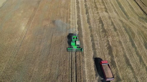 Different Agriculture Machines Harvesting Grain in Wheat Field Drone Point of View.