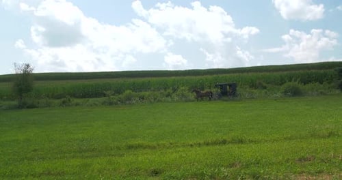 Amish Country, Ohio / United States - August 7 2018: Amish Buggy,