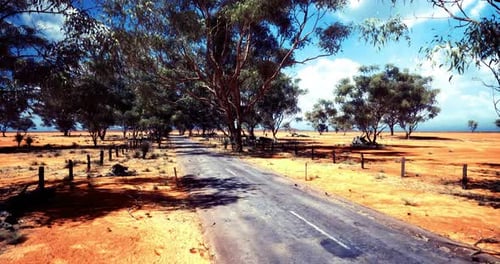 Vast Australian Landscape Featuring a Deserted Road Surrounded By Trees