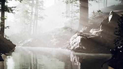 Pond in a Forest with Fog