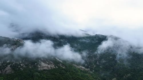 Mist envelops lush green mountains during serene morning near the coast