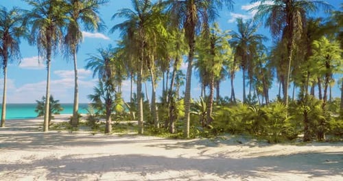Tranquil Beach Paradise with Palm Trees and Turquoise Waters Under Clear Skies