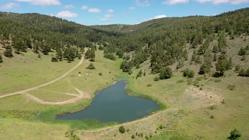 Vue aérienne du lac dans la zone forestière et des personnes campant au bord du lac 3