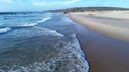 Wild beach and flock of seagulls flying