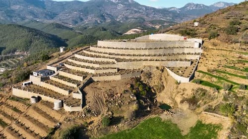 Farming Paradise Cinematic Drone's Aerial View of the Prosperous Avocado Orchards in Turkey