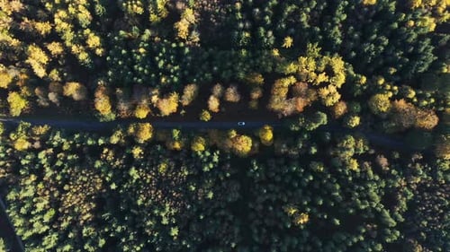 Aerial drone top down view of a countryside road through the wood