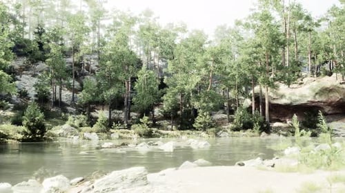 Un río sereno que fluye a través de un bosque verde vibrante