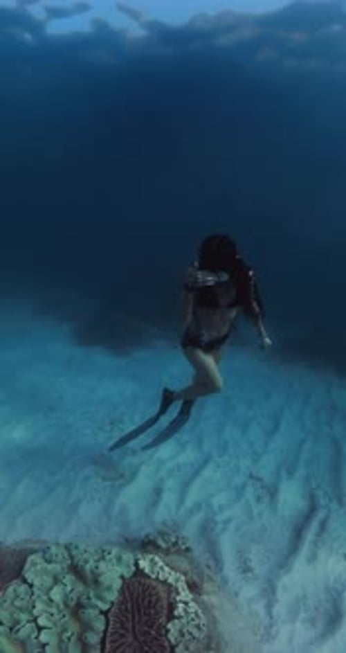 Attractive Woman with Freedive Fins Swims Underwater in Blue Ocean with Undersea Sunshine