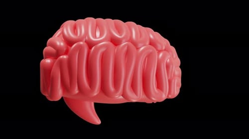 Rotating 3D Human Brain Model for Science and Health