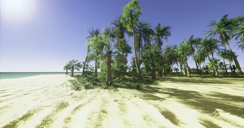 Beautiful Tropical Beach with Palm Trees and Clear Blue Skies During Daytime