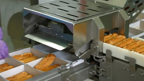 White Boxes with Eclair Shells