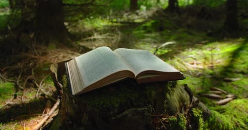 Himmlisches Licht fällt auf die heiligen Seiten der Heiligen Bibel