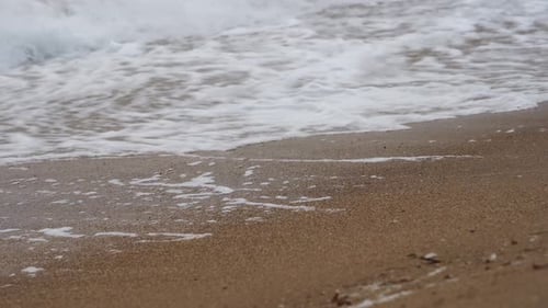 Foamy Waves Crash Sandy Beach Dynamic Seascape Scene Ocean Turbulence Storm Surge Footage Climate