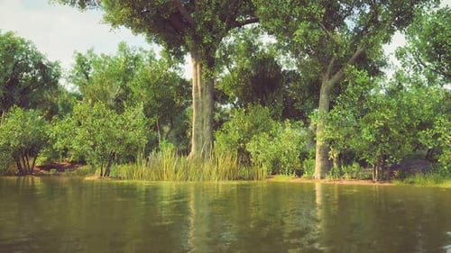 Animated Forest Lake Scene with Reflections and Greenery
