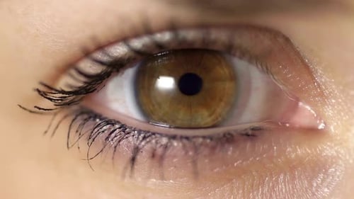 Human Close Up Eye Blinking, Blinking Eyes