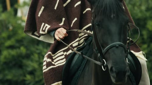 Hand of Cowboy Ride a Black Horse in the Nature