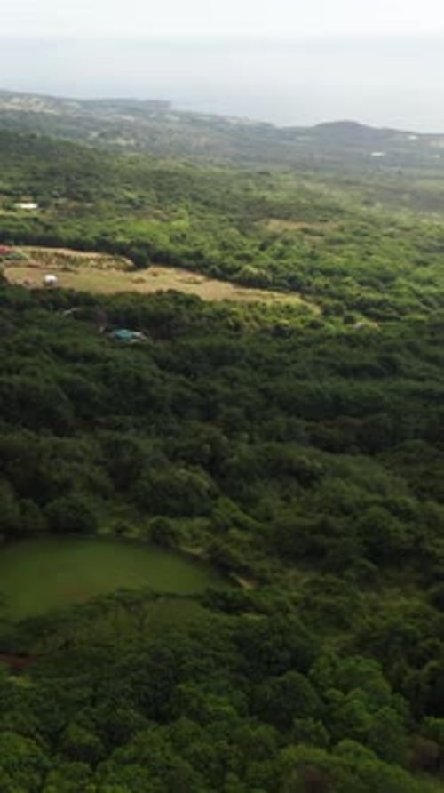Aerial vertical view of lush greenery on Kona Coast, Hawaii with scenic ocean horizon