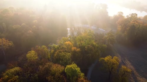 Aerial Flying Over Trees with Yellow Leaves Lake and Architecture on an Autumn