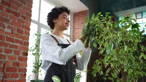 Running of Own Business African Woman Florist Wearing Apron Taking Care of Plants in Botanical Store
