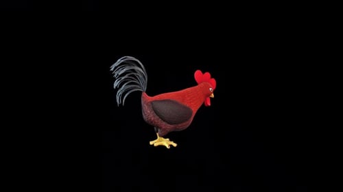 Cartoon Rooster Pecking Seamless Loop Alpha Channel