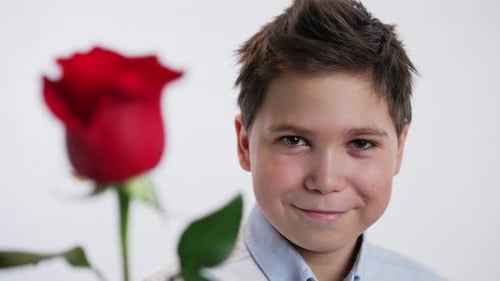 Smiling Boy Holding Beautiful Red Rose as Gift