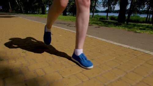 Closeup of Slim Female Legs in Sports Shoes Running on Park Road