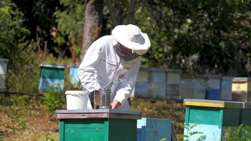 Experienced beekeeper in protective uniform on apiary