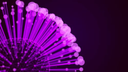 Purple Abstract Plexus Sphere Network Background Loop V6