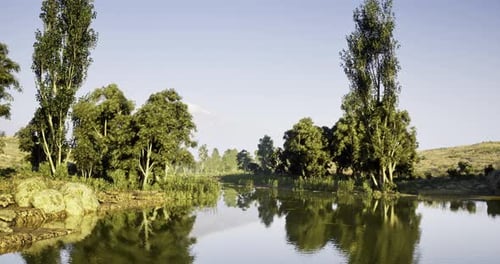 Tranquil River Surrounded By Lush Trees and Serene Landscape in Daylight