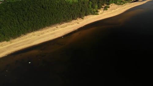 An Aerial View of a Serene Lake Shoreline That is Beautifully Surrounded By Lush and Vibrant Green