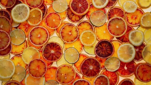 Colorful Citrus Fruit Slices, Lemons, Limes and Oranges