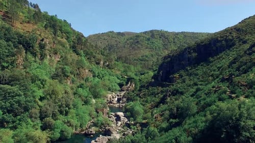 Cinematic Nature Valley Aerial View