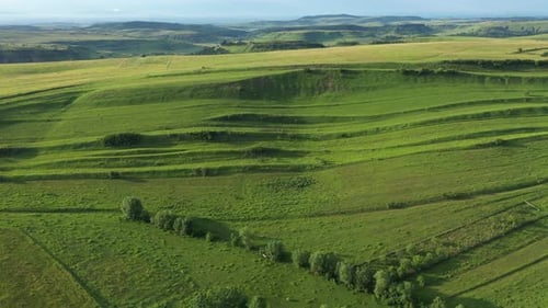 Green Meadow in the Spring, Countryside Hills from Above, Aerial View
