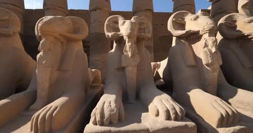 Ram headed sphinxes beyond the first pylon at Karnak Temple, Karnak, Egypt