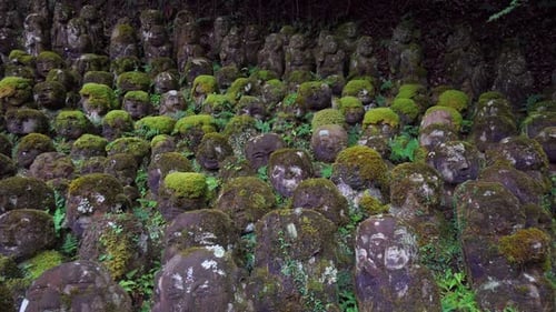 Each statue of this Buddhist temple has a different shape and facial expression, the moss impregnate