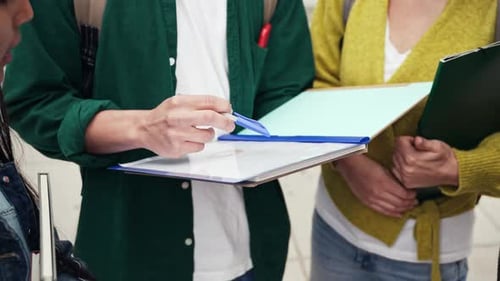 Group of Students Working and Learning Together Preparing for Exams and Discussing University