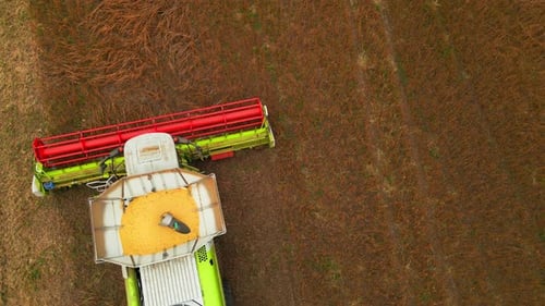 Aerial View of Combine Harvester Working on Field