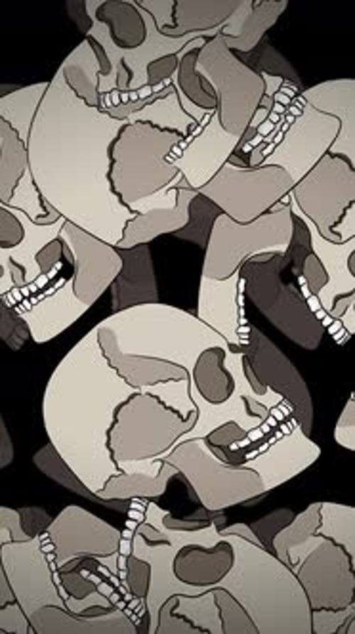 Illustrated 2D Skulls On Black