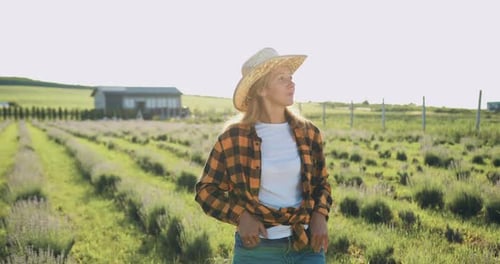Une travailleuse agricole coiffée d'un chapeau se promène dans un champ de lavande au début du printemps au coucher du soleil. Blonde caucasienne