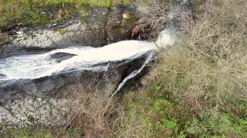 Waterfall in the Forest