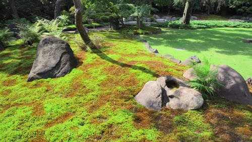 Gardens in temples in Japan have a long and deep tradition. Stones, mosses and water are used to rep
