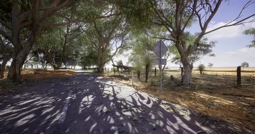 Vibrant Landscape Shows Rural Road Framed By Lush Trees Under Bright Sky