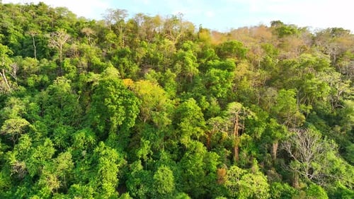 Majestic tropical forest on towering mountains by aerial view drone.