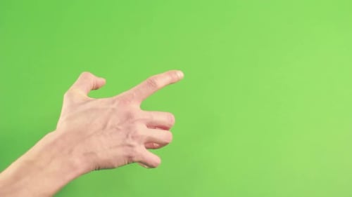 Hand Isolated on Green Background. Human Hand Gesture Isolated on Green Screen