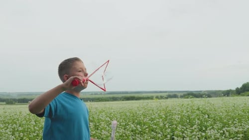 Young Boy Playing Outdoors with Soap Bubbles in Vibrant Meadow Caucasian Child Engaging in Outdoor