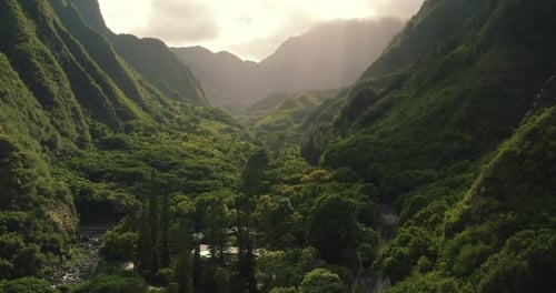 4k aerial drone pan up over lush green valley in Hawaiian rainforest with sun rays.