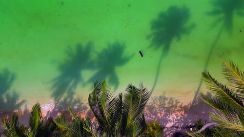 Tropical beach.