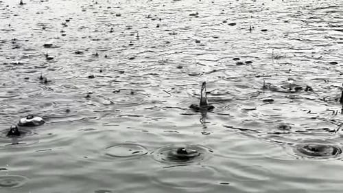 Rippled water surface during rain, slow motion view